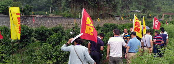 網站5.jpg 網站5.jpg