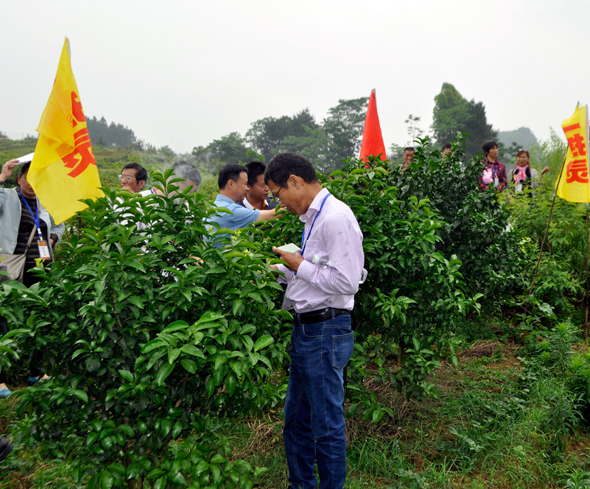 網站6.jpg 網站6.jpg