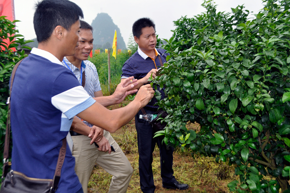 網站8.jpg 網站8.jpg