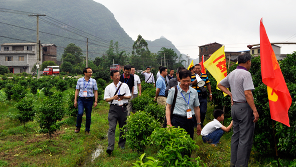 網站10.jpg 網站10.jpg