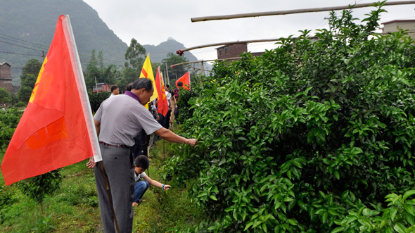 網站11.jpg 網站11.jpg