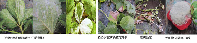 未標題-2.jpg 未標題-2.jpg