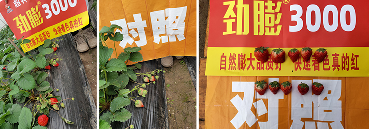 未標題-2.jpg 未標題-2.jpg