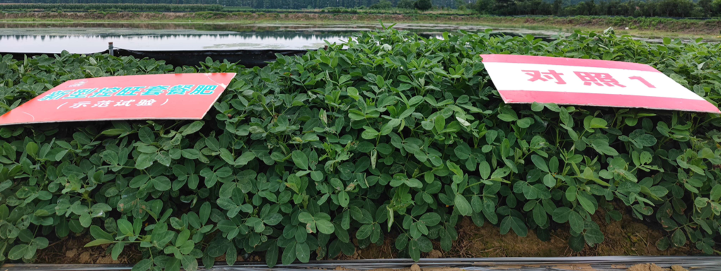 圖片1.png 圖片1.png