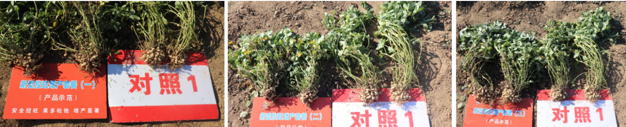 圖片3.png 圖片3.png